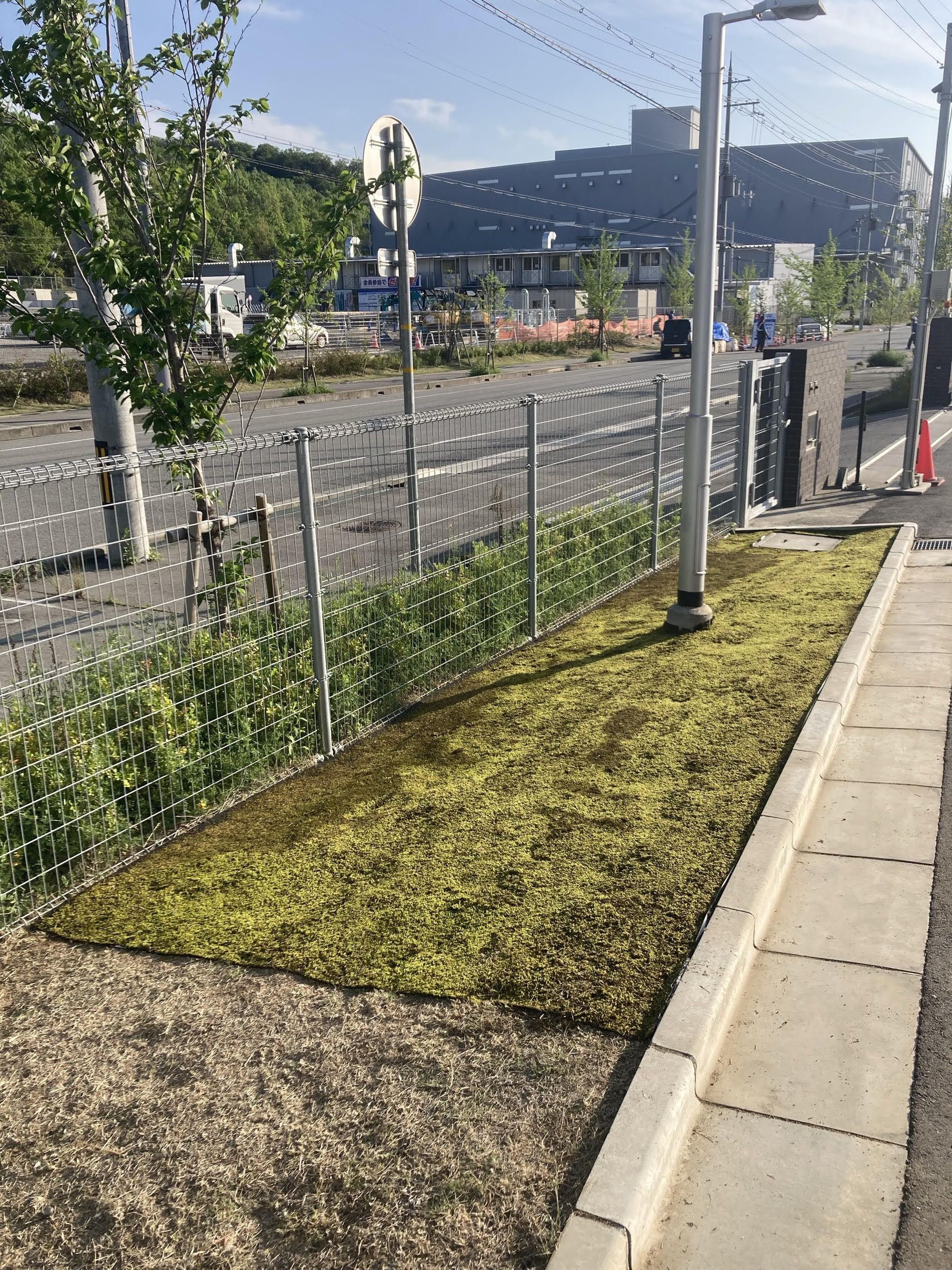 お墓スナゴケシート施工事例