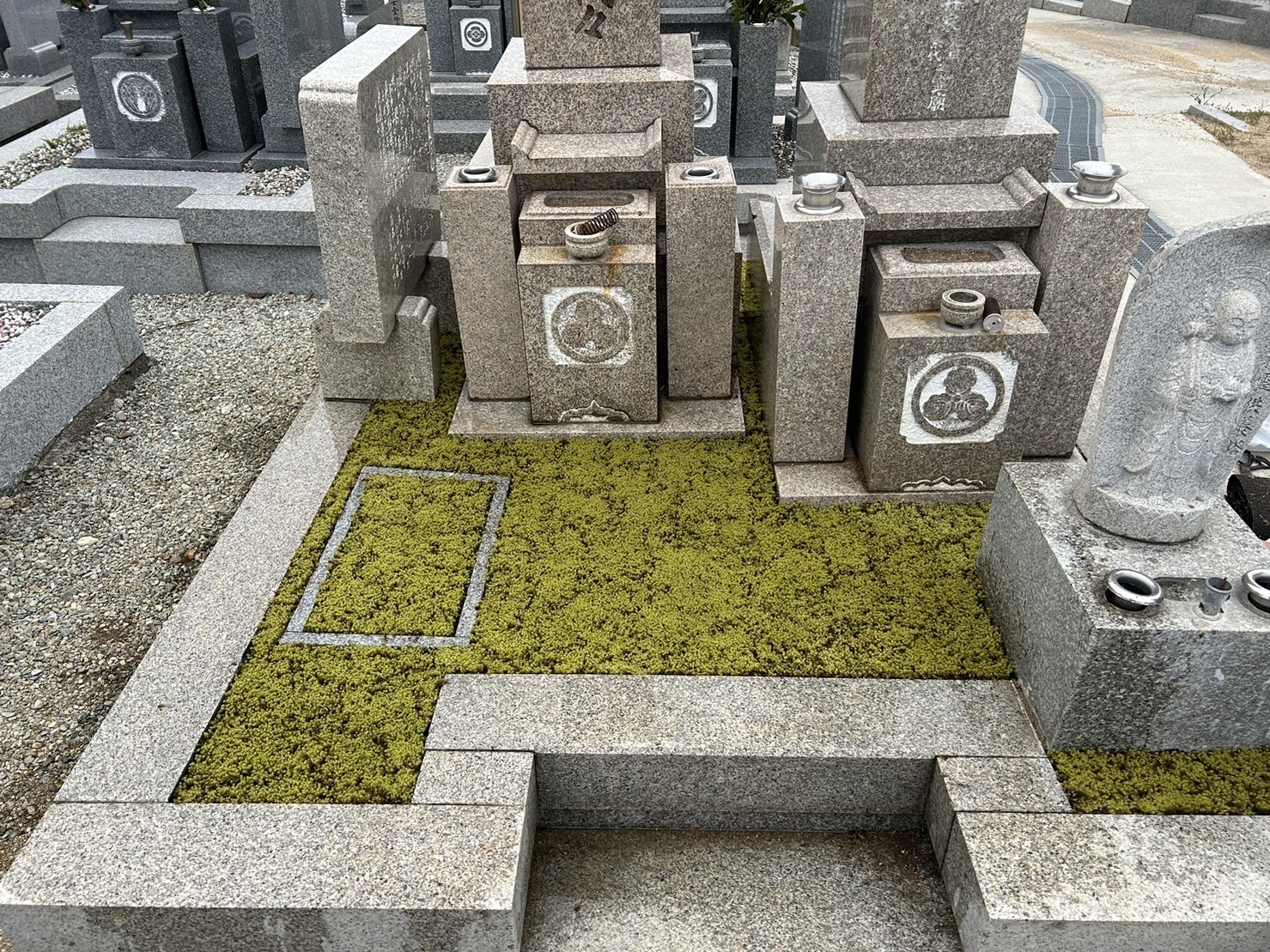 屋上緑地スナゴケシート施工事例